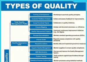 Read more about the article Type of Quality Functions and Activities